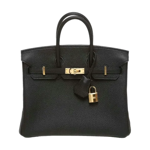 Hermès Birkin 25 Togo