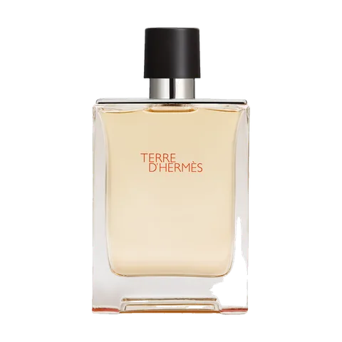 Terre d'Hermès Eau de Toilette 100ml